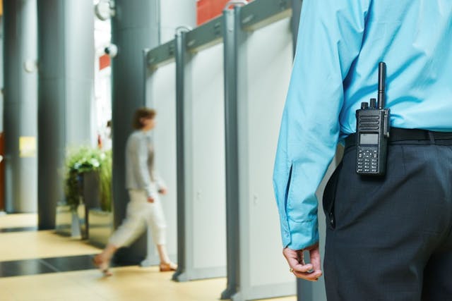 Why Engage a Professional Security Services