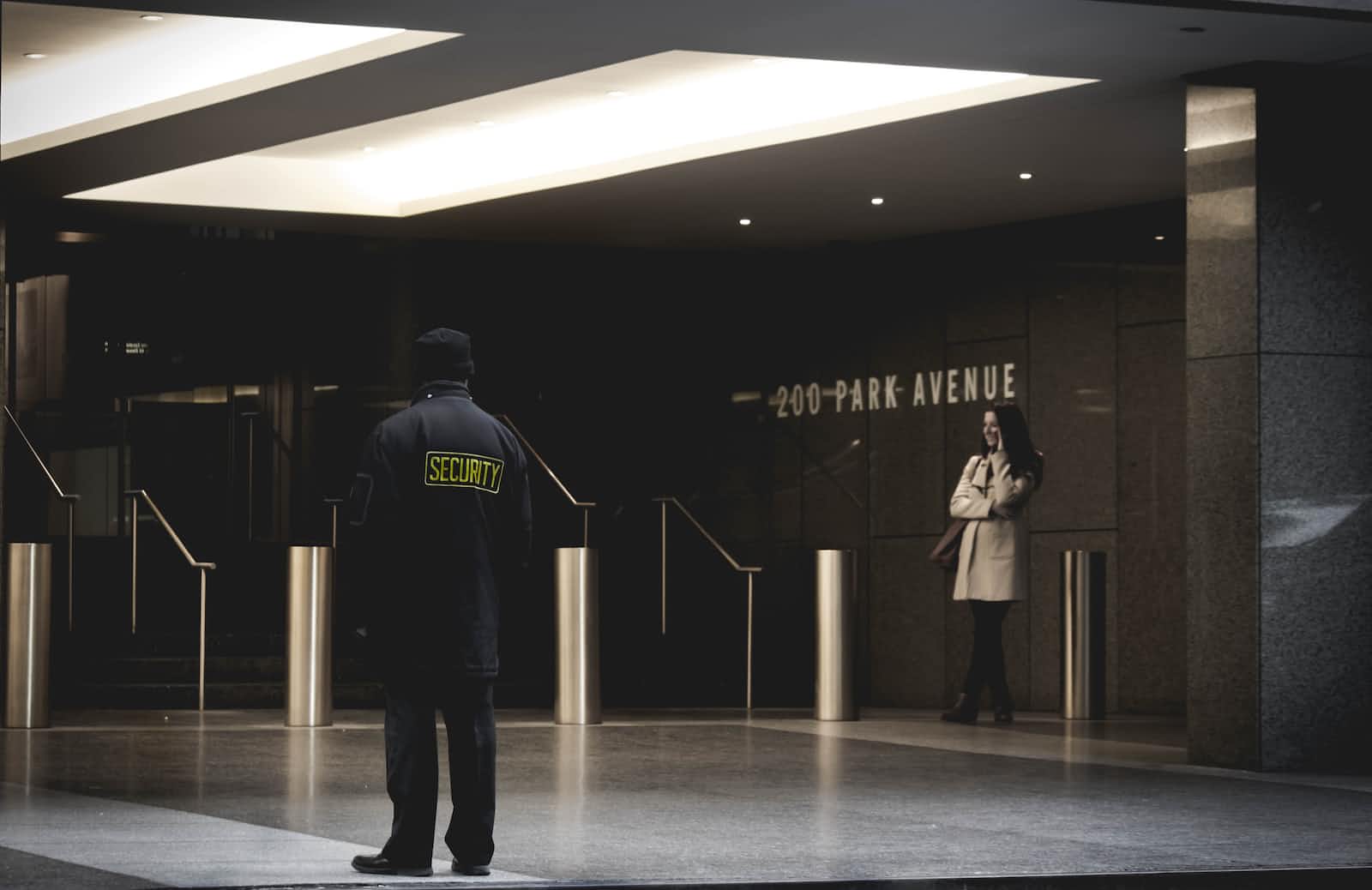 Executive Protection Services